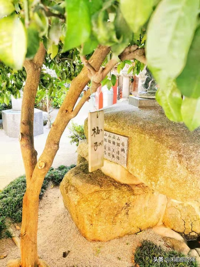 海洋光谱号游日本,海洋光谱号东南亚5日游行程如何