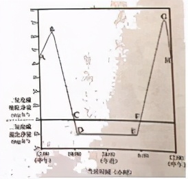 人教版七年级生物植物的呼吸作用,生物光合作用与呼吸作用的综合题