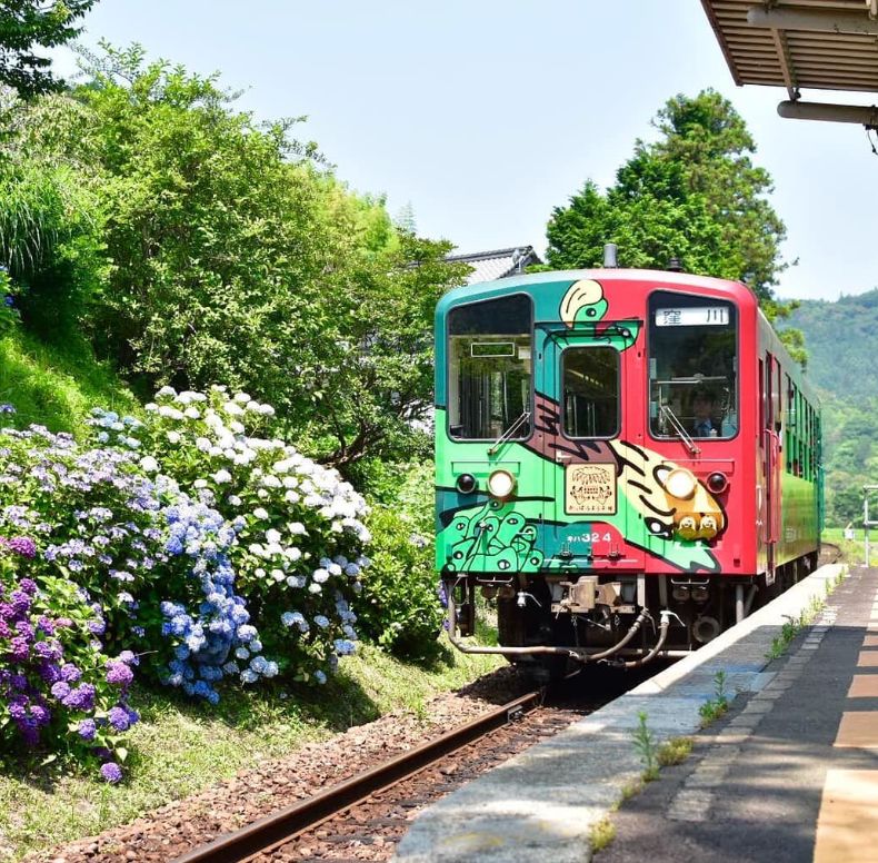 在日本坐火车是什么感觉,在日本坐火车是什么体验