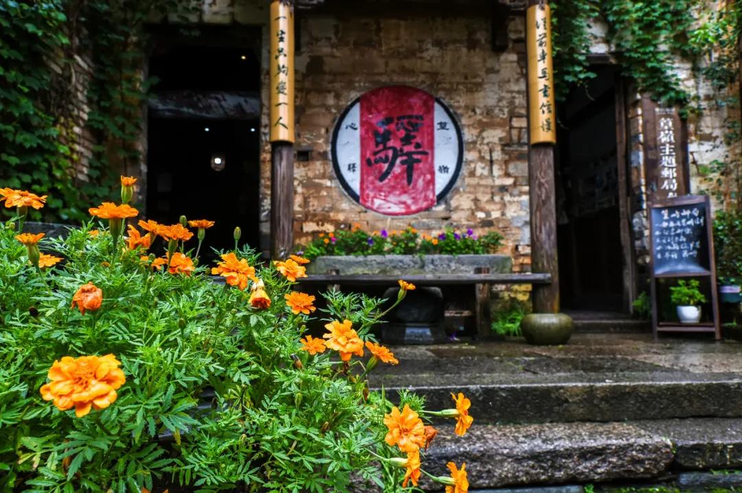 这才是中国最美的乡村,最值得去的鲜花小镇