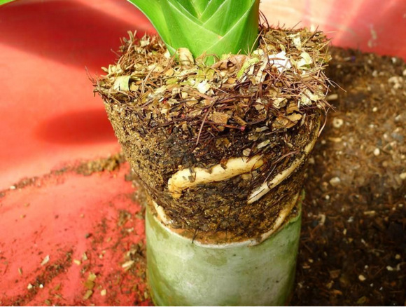 目前适合在农村创业的项目有哪些,十大最适合农村创业项目