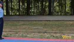 教官指南,新生军训教官实录