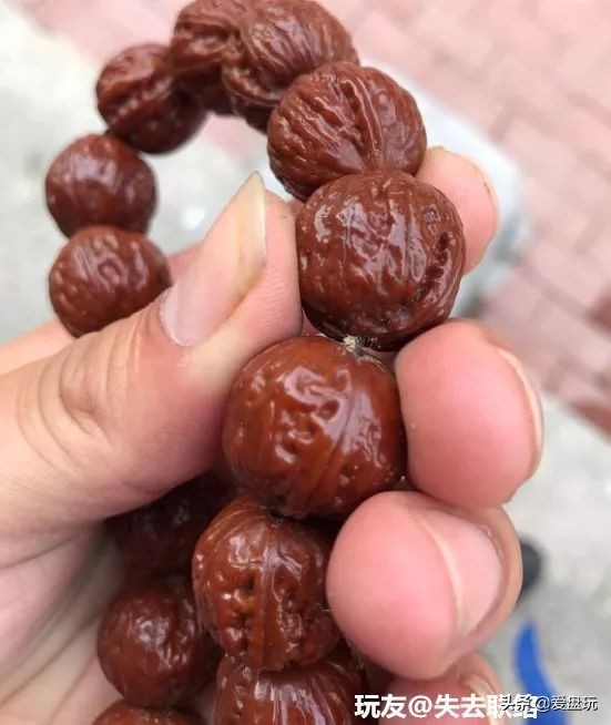 放了2年的凤眼，翻出来，虫子能组一个篮球队了