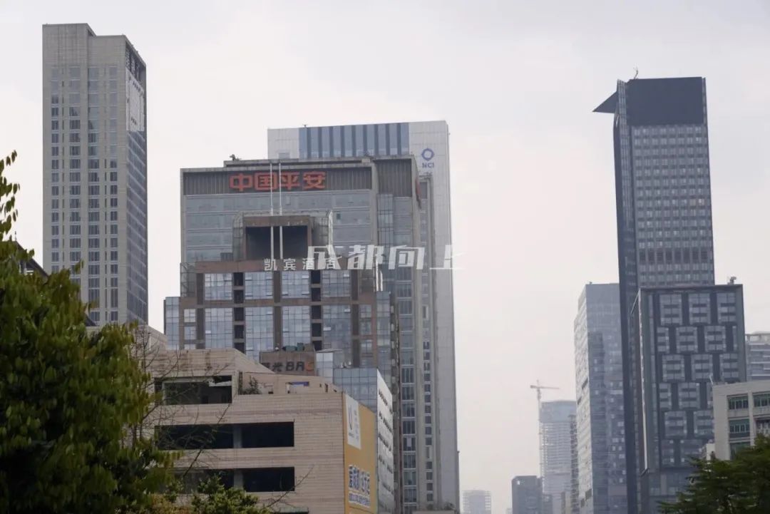 如何让成都变东京？网友：大LOGO收敛点