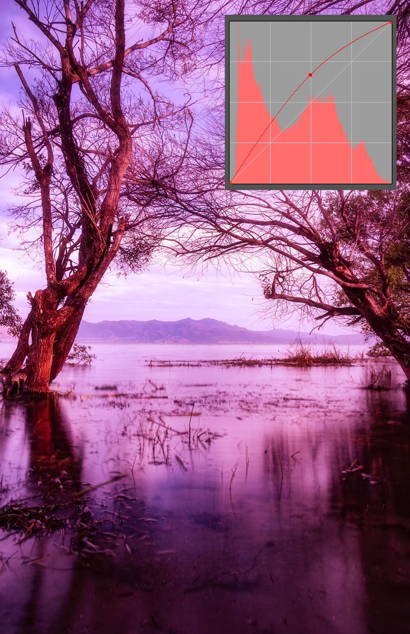 曲线要怎么记容易学得快,曲线难学吗