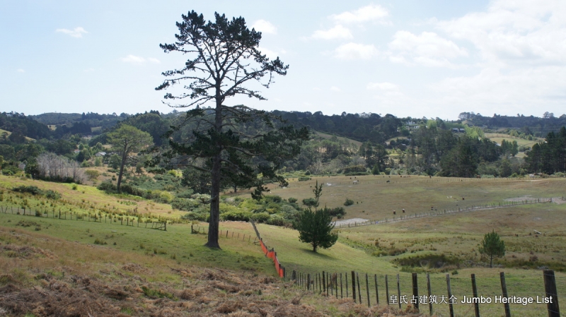 第36回：女同性恋貌合神离，划清界限准备摊牌