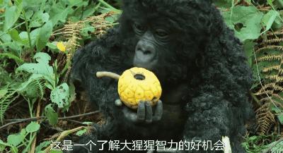 豆瓣9.8分悬疑大片,窥探电视剧豆瓣评分