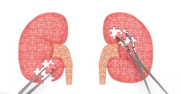 小红书爆火的天价抗糖丸、抗糖液到底有用么?抗糖到底是咋回事?