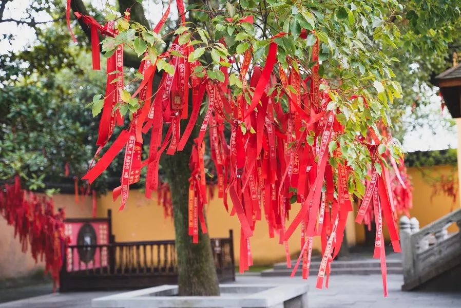 为了吃美食去外地,为了吃儿时的味道跑到一个地方