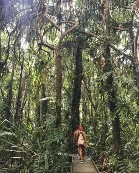 去澳大利亚需要学会什么技能,第一次出国去澳大利亚怎么玩