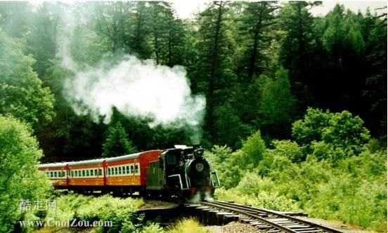 乘森林生态小火车之游