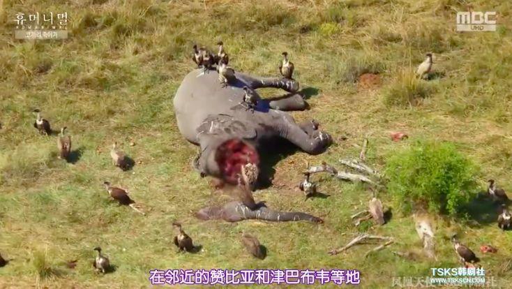 9.4分韩国催泪电视剧,韩国十部9.5评分催泪电影