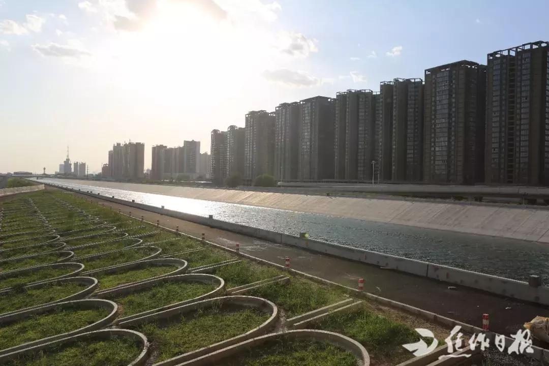 碧草茵茵、流水潺潺、生机盎然……看焦作这座百年煤城的华丽蝶变