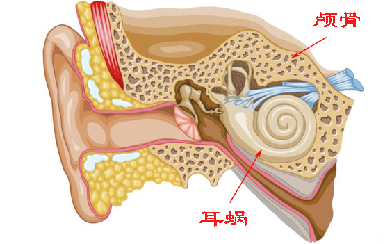 为什么录音听自己的声音很奇怪 (为什么听录音会很讨厌自己的声音)
