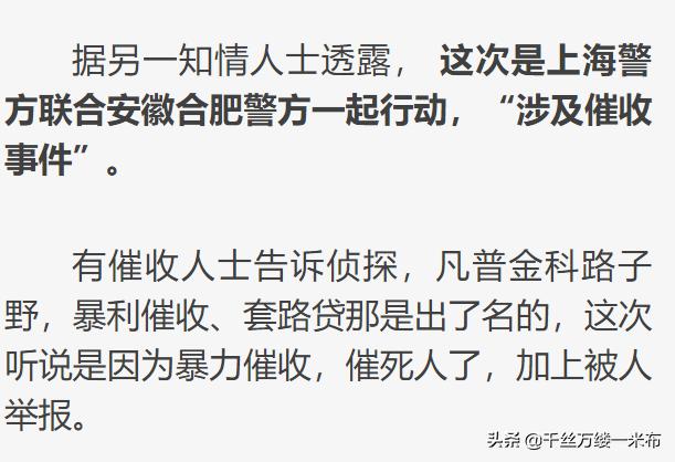 网贷还不起催收机构会爆通讯录吗,催收爆通讯录了可以打110报警吗