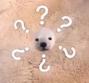 睡裤的正反面怎么区分,睡裤的正反面区分技巧