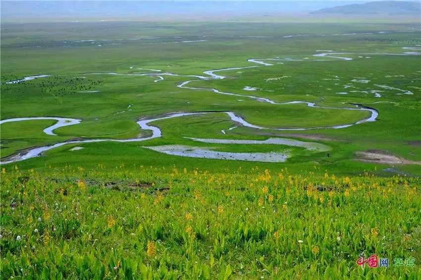 大梅看草原丨盛夏的甘南玛曲，美得脱俗惊艳