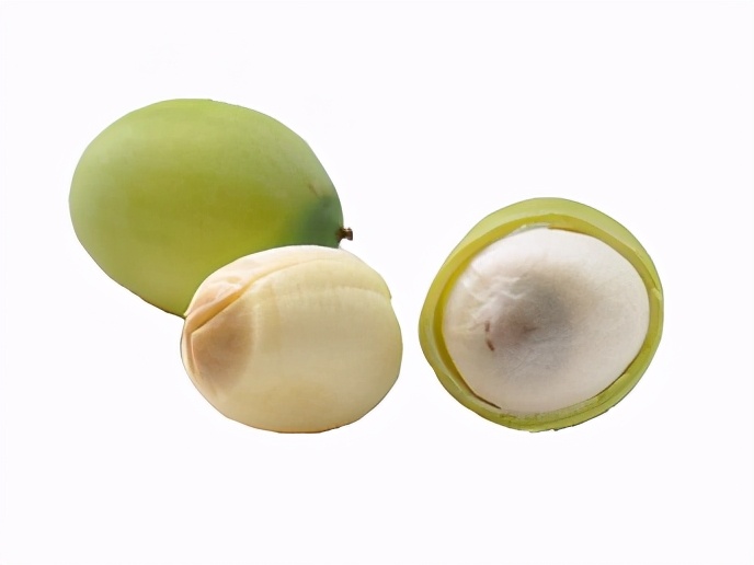 八年级生物中考新突破2024年,生物八年级上册达标测试卷