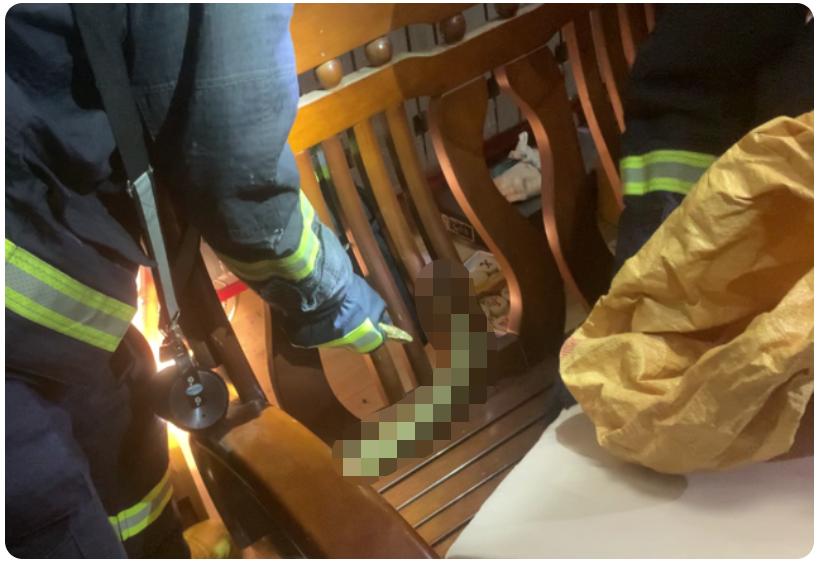 男子上厕所时被蛇咬伤,男子上厕所马桶竟然窜出蛇