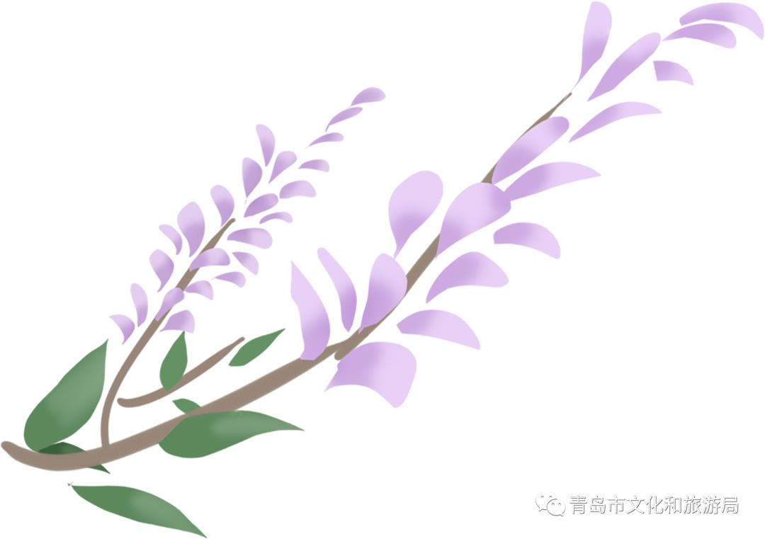 识花赏花学知识,赏花识花学知识