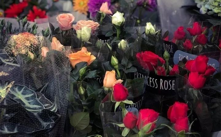 盆栽花发蔫什么原因,买回来的花很快就蔫的原因