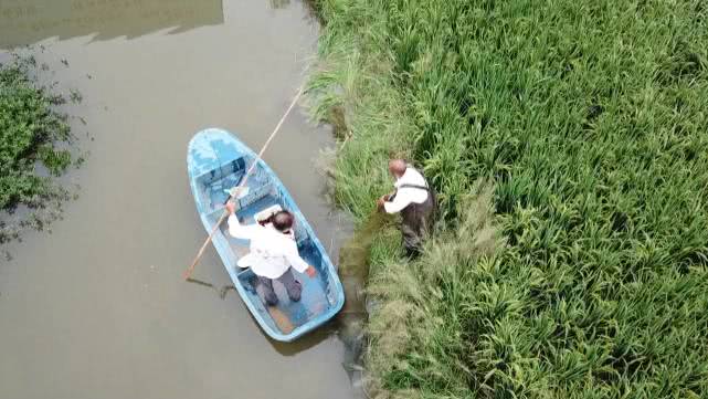 正确养殖小龙虾的方式,同样是养小龙虾你为啥会亏本