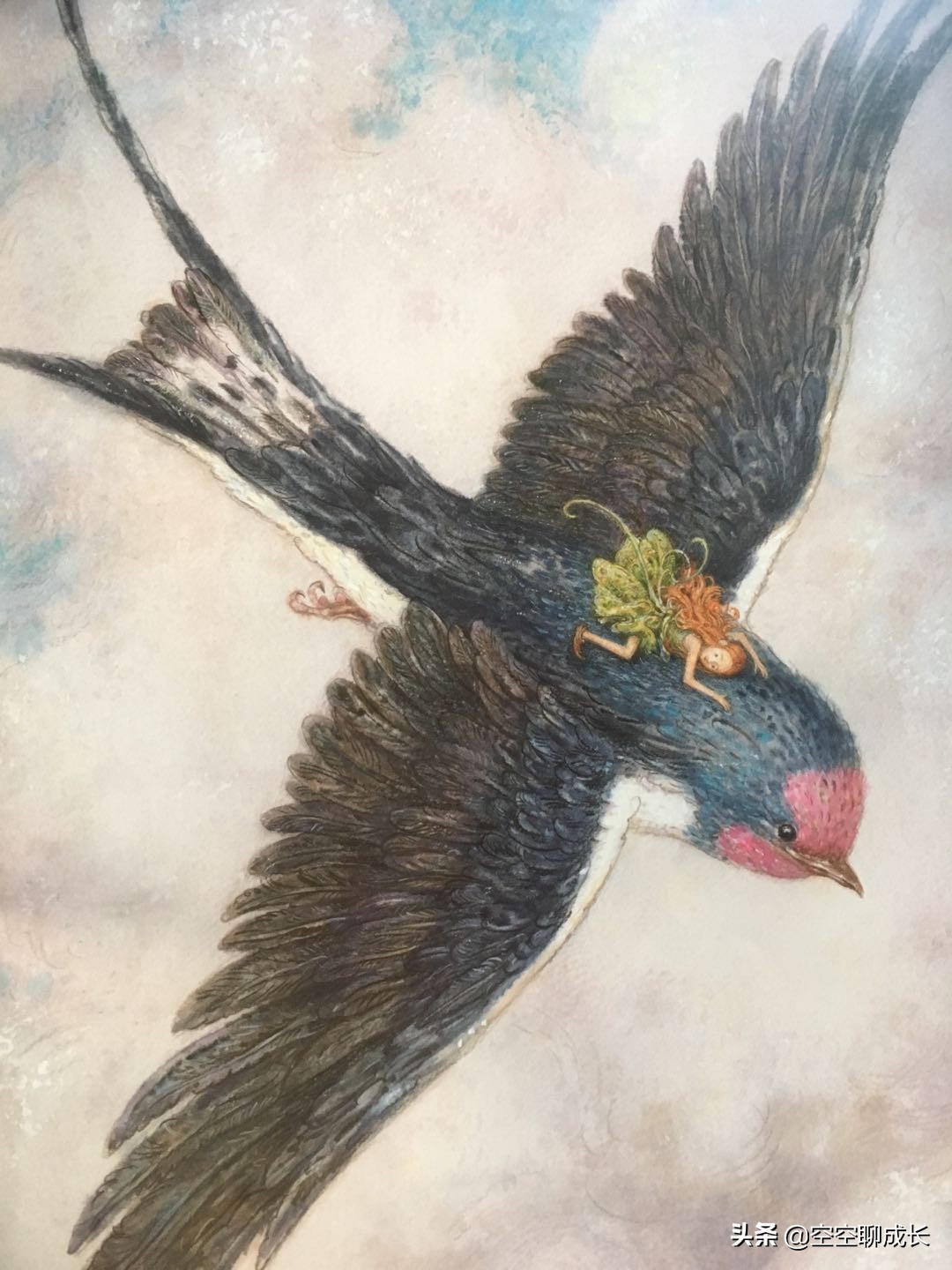 拇指姑娘是一个怎样的姑娘,拇指姑娘让我们懂得了什么