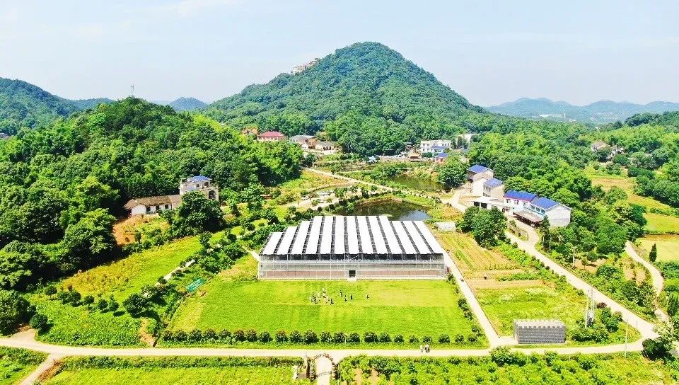 长沙生态农庄野炊采摘,长沙岳麓区垂钓农家乐