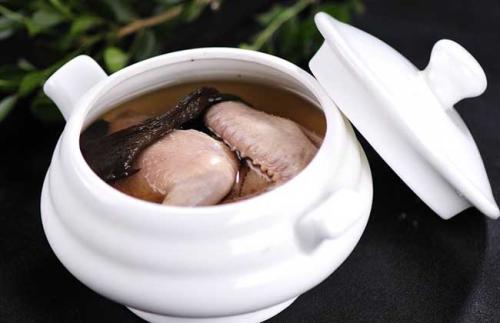 鸽子身上有飞翔感觉,鸽子很有灵性