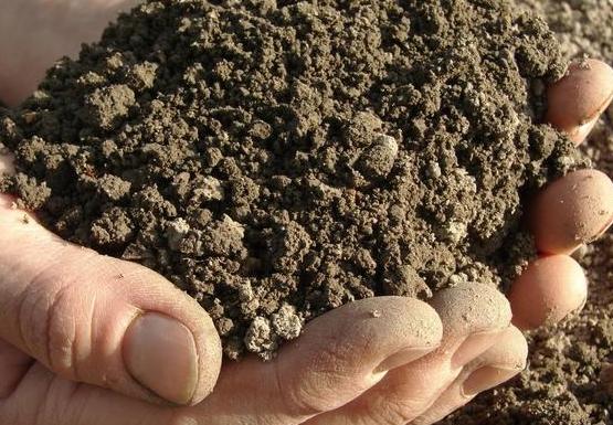 养花的土怎么才能改善酸性土壤,想要土壤疏松透气加什么