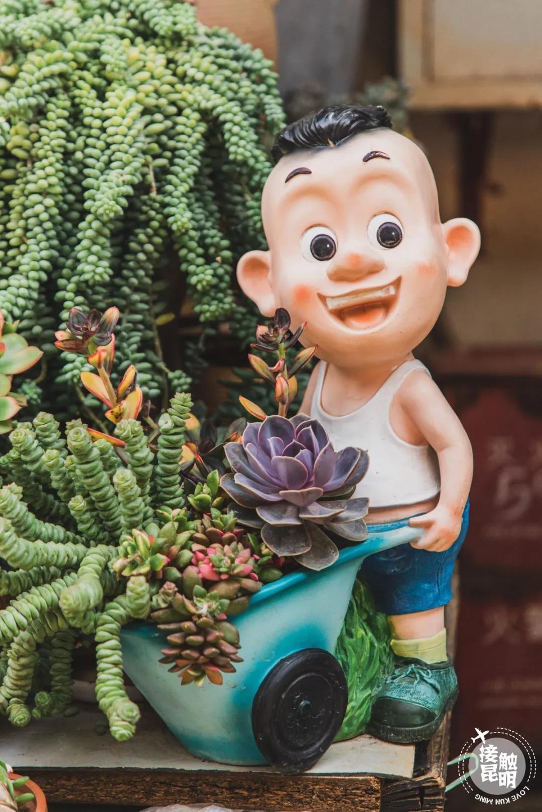 逛逛园博花鸟市场,园博花鸟市场攻略