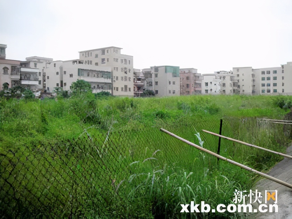 广州番禺南浦中心医院,番禺南浦社区医院