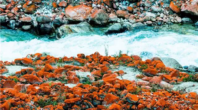 四川大渡河峡谷国家地质公园 (四川中江羚羊峡谷)