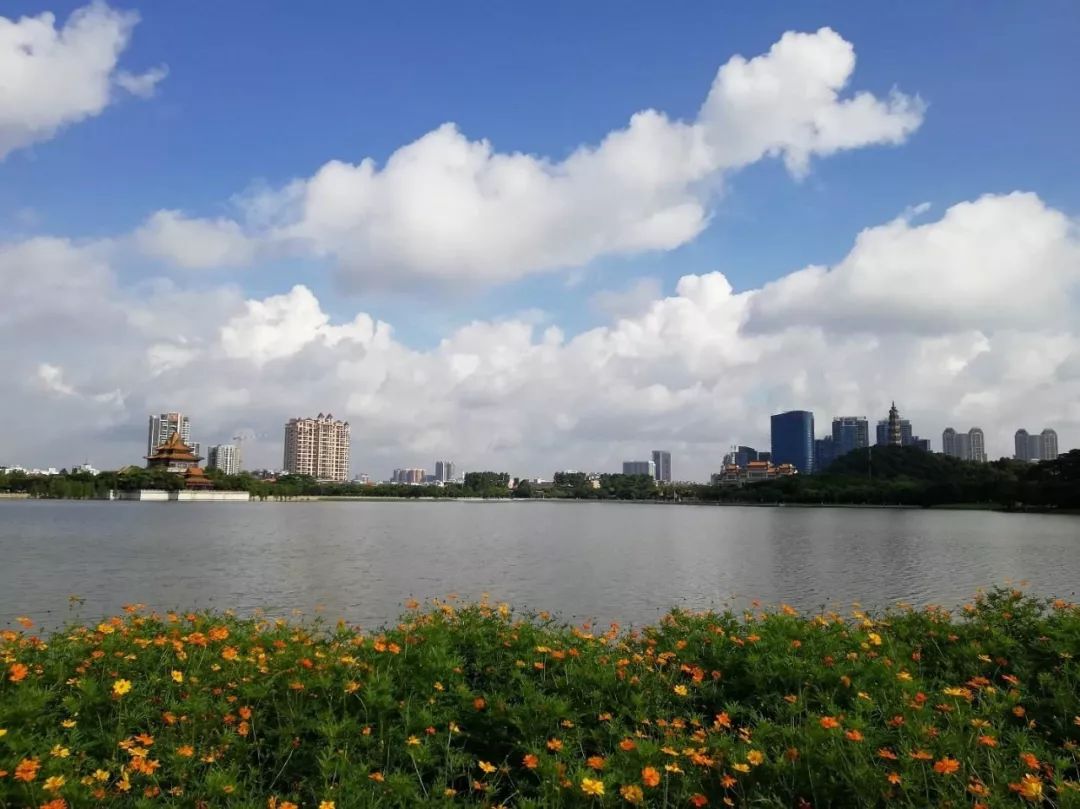 佛山顺德四小虎,四小虎之一顺德