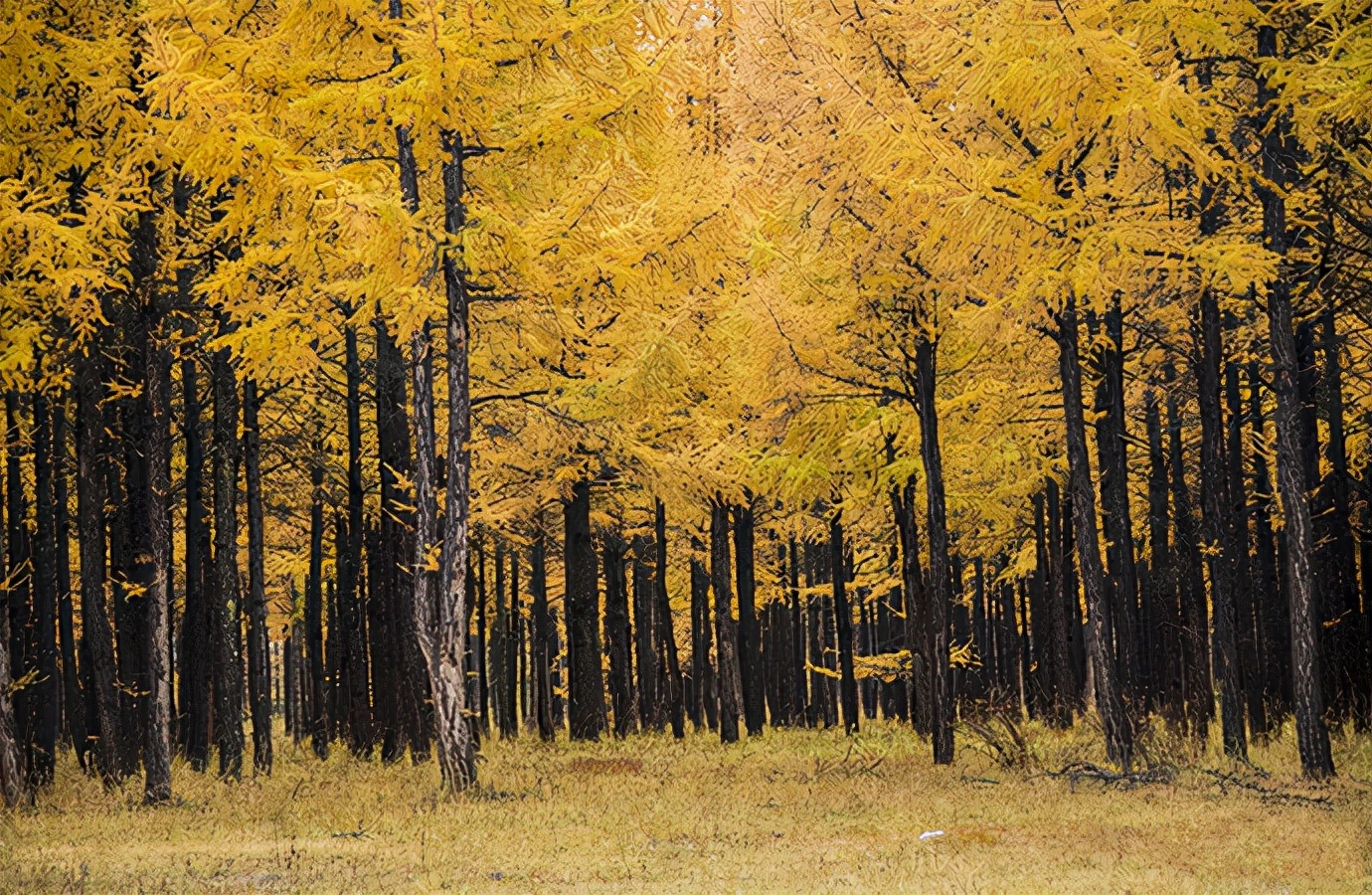适合秋天自驾游的路线推荐一下,秋天皖南川藏线自驾游攻略