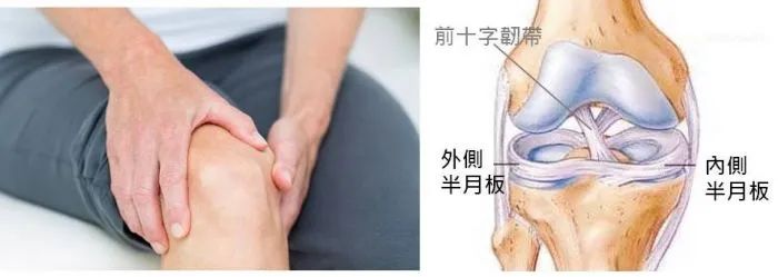 膝盖半月板手术后恢复的最佳方法,膝盖半月板替换手术康复训练