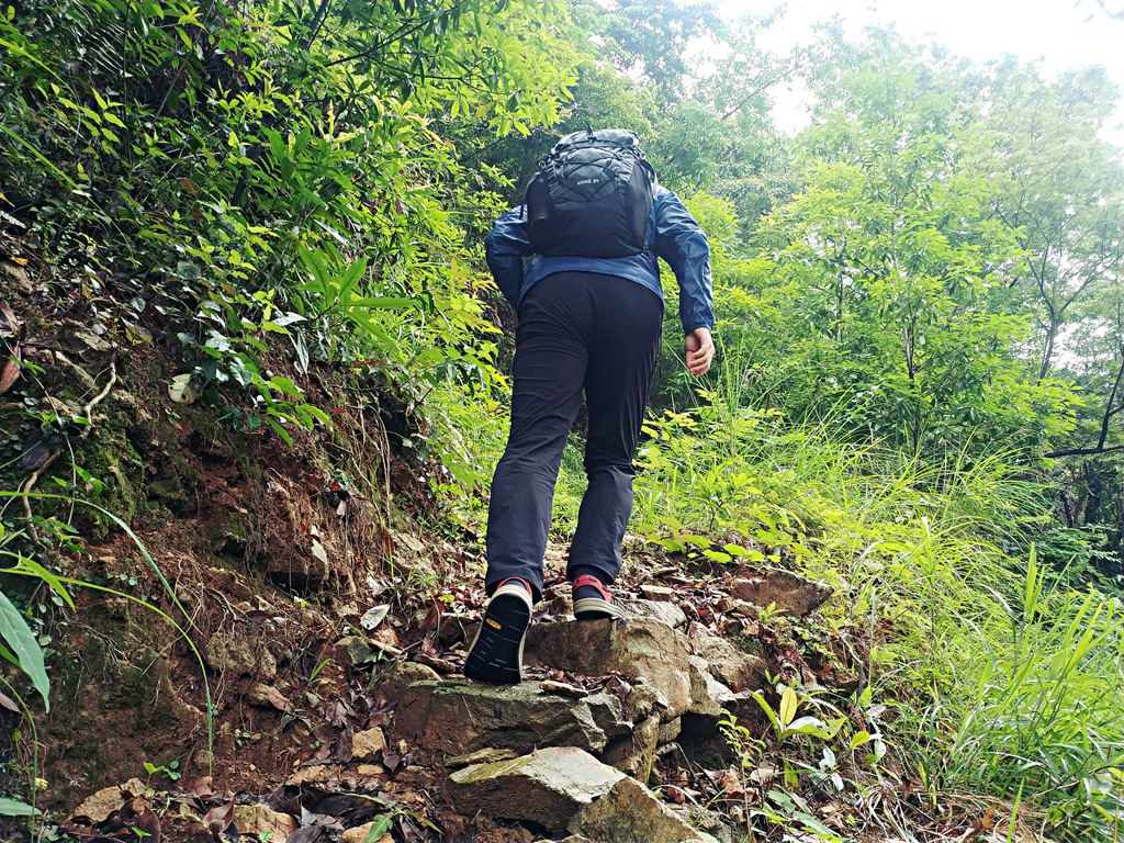 格里高利nano2024怎么选,格里高利nano18l和20l对比