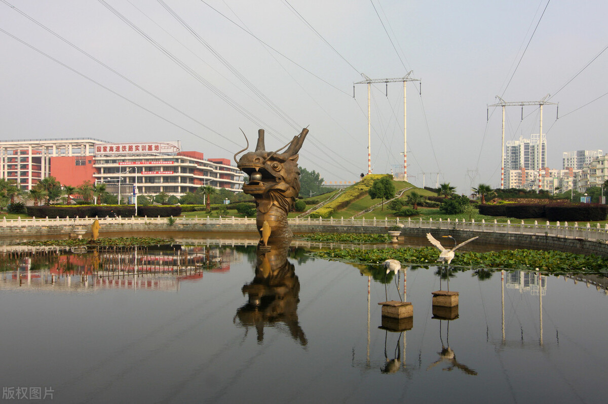 藏龙岛托管机构,藏龙岛划入东湖高新可能性