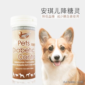 泰迪糖尿病拉稀黑便，狗大夫说快死了，我该怎么办？是细小病吗？