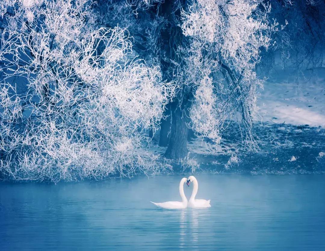 新疆的北疆和南疆哪个更美,北疆新疆之美