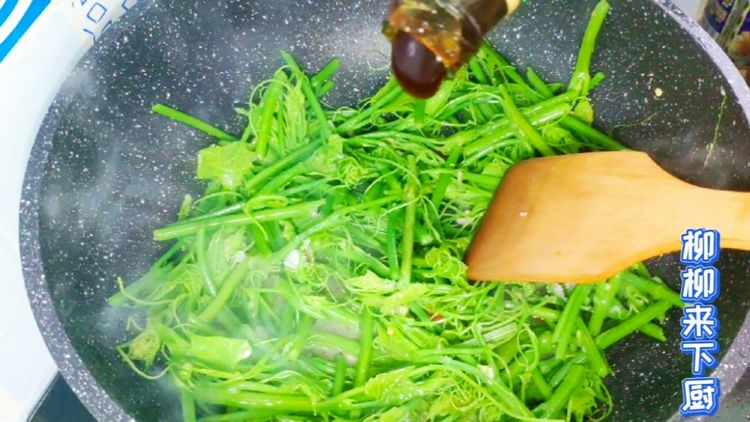 佛手瓜苗适合小孩吃的做法,佛手瓜苗清炒图片