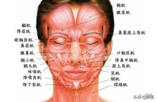 杨超越还能撑多久,杨超越遇到的真实事件