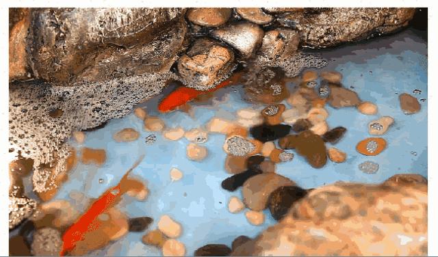 登革热夺走20多条生命,登革热是典型的儿童疾病吗