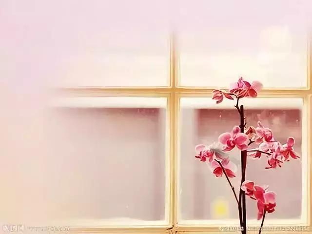 世界十大英文经典广告语,英语广告词经典语录