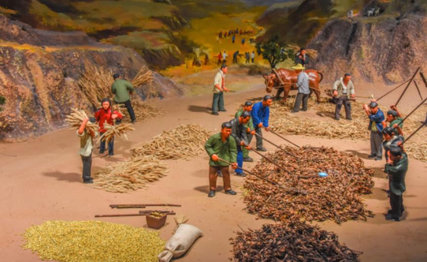 大生产运动主要内容,大生产运动实行军垦