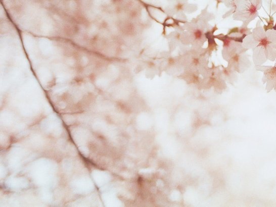 水逆期间12星座需要注意什么,12星座断崖式分手