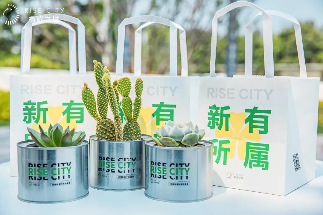 risecity榕耀之城景观设计说明,RISECITY榕耀之城TOD社区公园