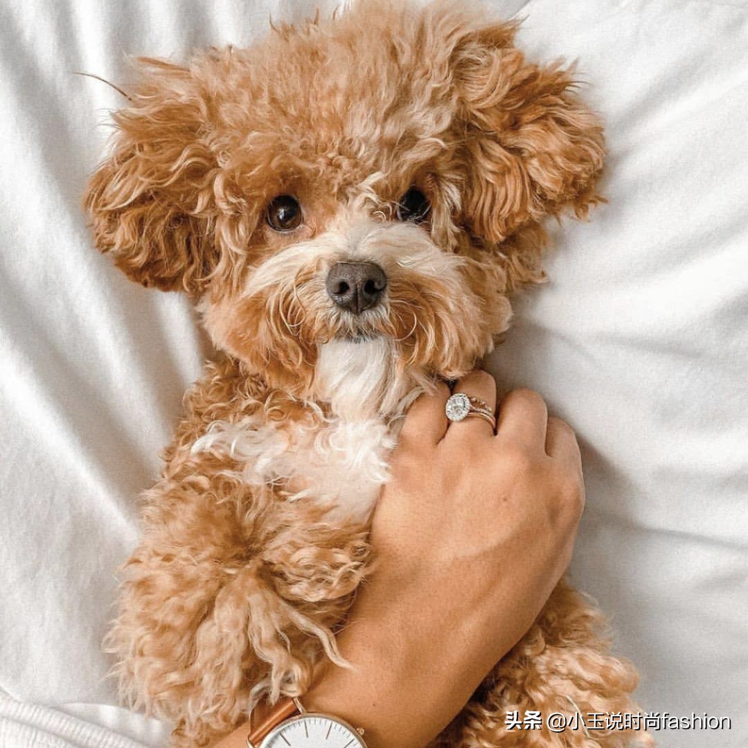 戒指戴在哪个手指上最合适,戒指的戴法和意义男女左右手