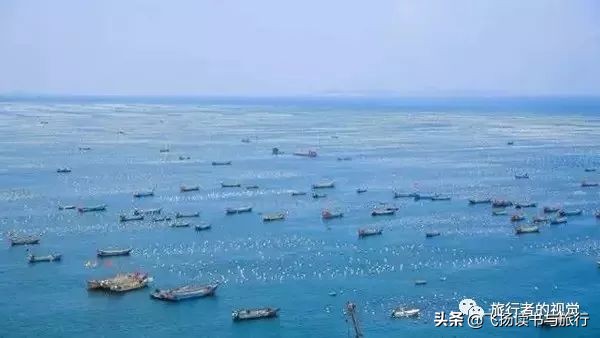 花鸟岛是个好地方,花屿花鸟岛