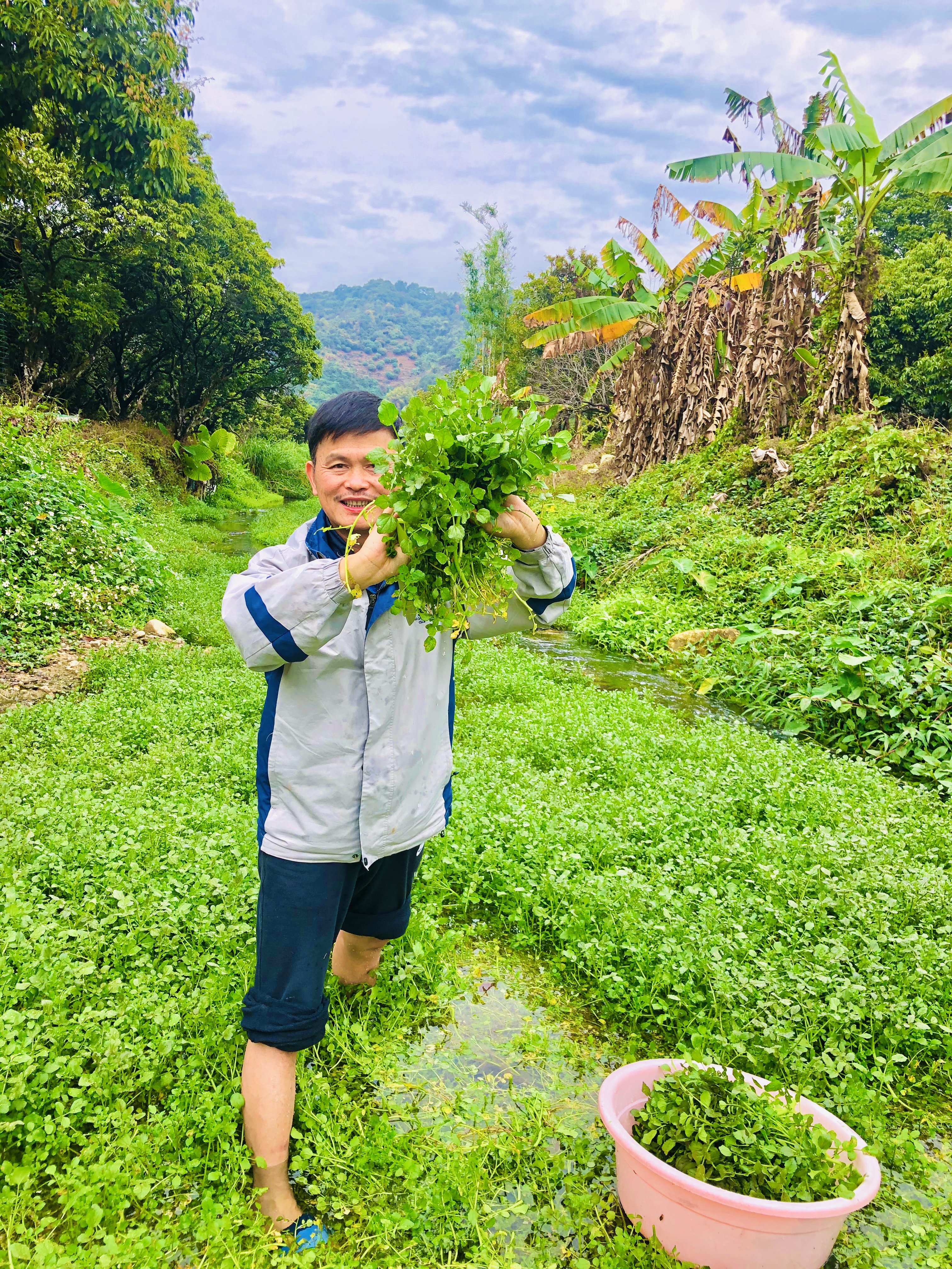 从化新开田园民宿,从化民宿推荐森林覆盖率高